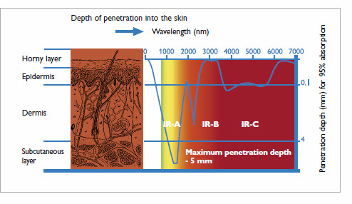 Infrared Halogen Lamps skin penetration