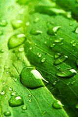 How to Use Infrared Sauna How to Use Infrared Sauna